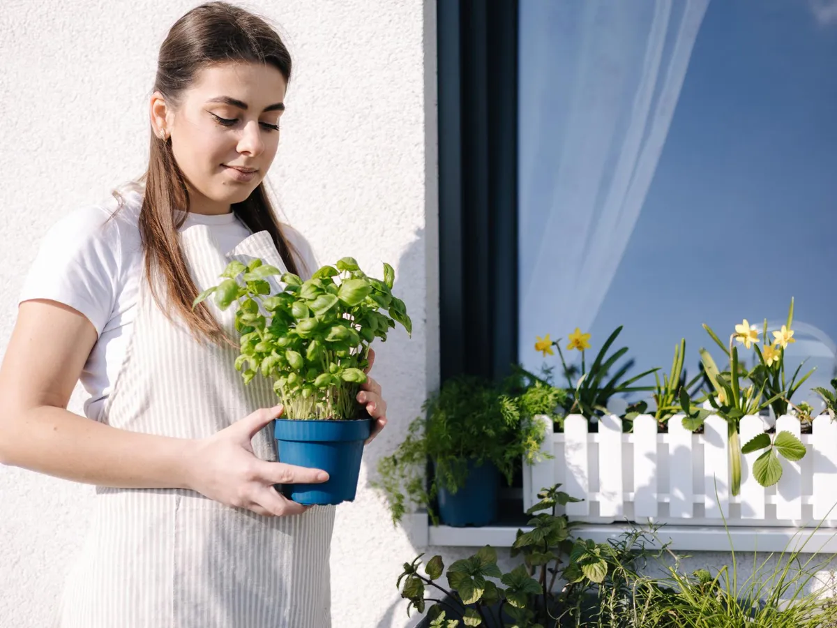 Femeie în balcon cu o floare în mână - Foto: Magnific.com (Imagine cu rol ilustrativ)