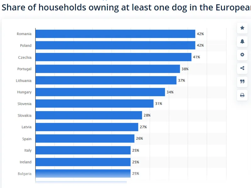 România, pe primul loc în UE la la numărul de proprietari de câini și pisici