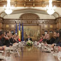 Iohannis și reprezentanții a 22 de ONG-uri s-au întâlnit la Cotroceni. Foto Inquam Photos / Octav Ganea