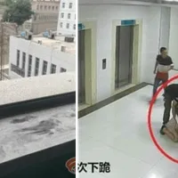 O femeie însărcinată s-a sinucis din cauza durerii la naștere. Familia o obliga să nască „natural” - FOTO: Captura video
