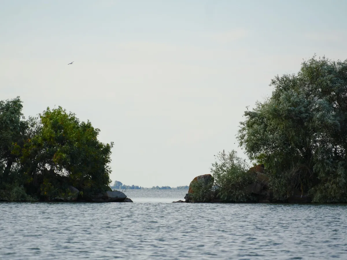 Dunăre - Foto: Profimedia Images