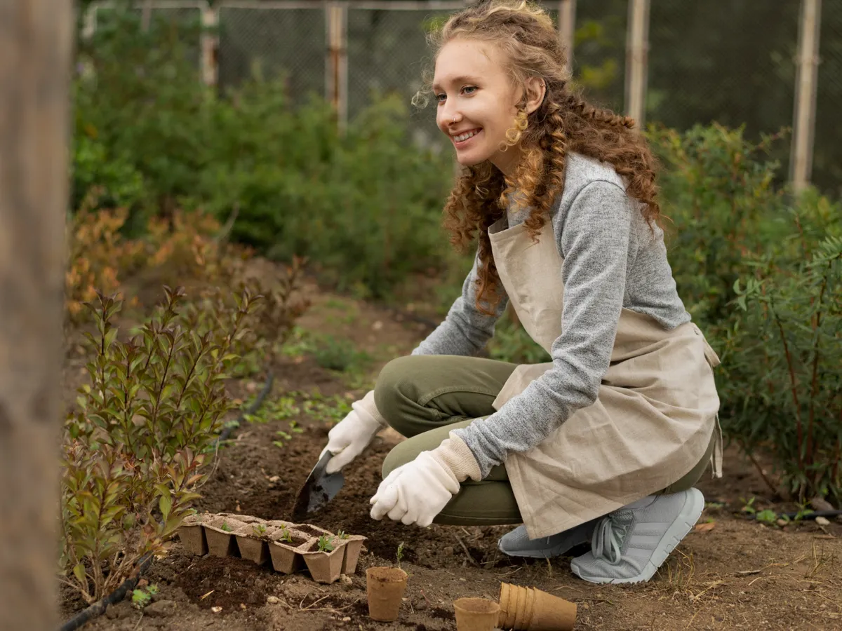 Cum să plantezi semințe în noiembrie ca să ai recolta bogată la primăvară. Frigul ajută germinarea