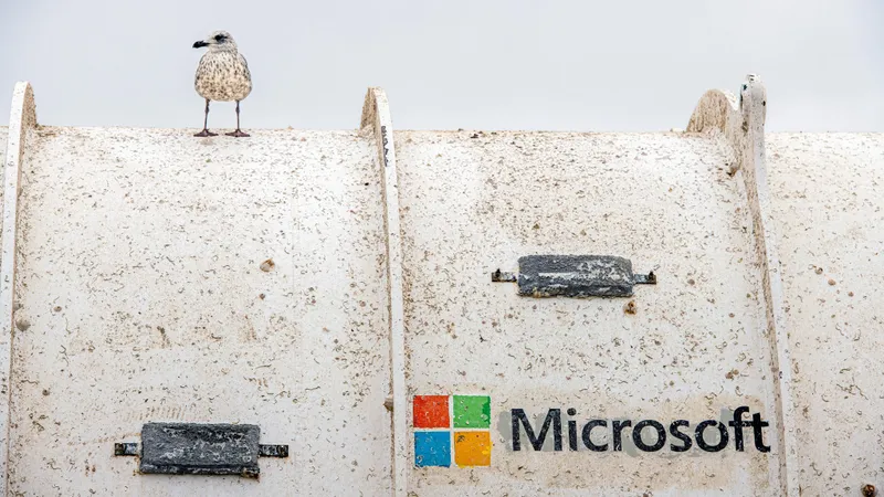 Microsoft, victima atacurilor cibernetice Foto: Facebook