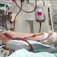 Un virus mortal a ajuns în Europa. Experții se tem de izbucnirea unei pandemii - Foto: Research (imagine cu caracter ilustrativ)