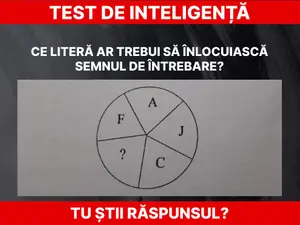 Test de inteligență Foto: Daniel Toșa