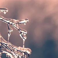 METEO cea mai ciudată iarna din secol. 15 grade în decembrie. Ploi în ianuarie Foto: Pexels (fotografie cu caracter ilustrativ)