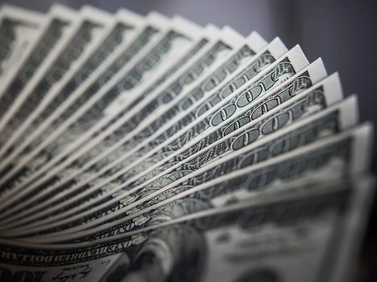 Dolari - Foto: Freepik (rol ilustartiv)