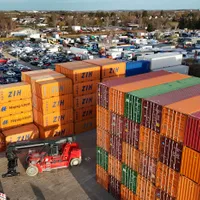 Care sunt exporturile din România, oprite de pesta porcină, spre Marea Britanie şi Statele Unite? - Foto: Profimedia Images