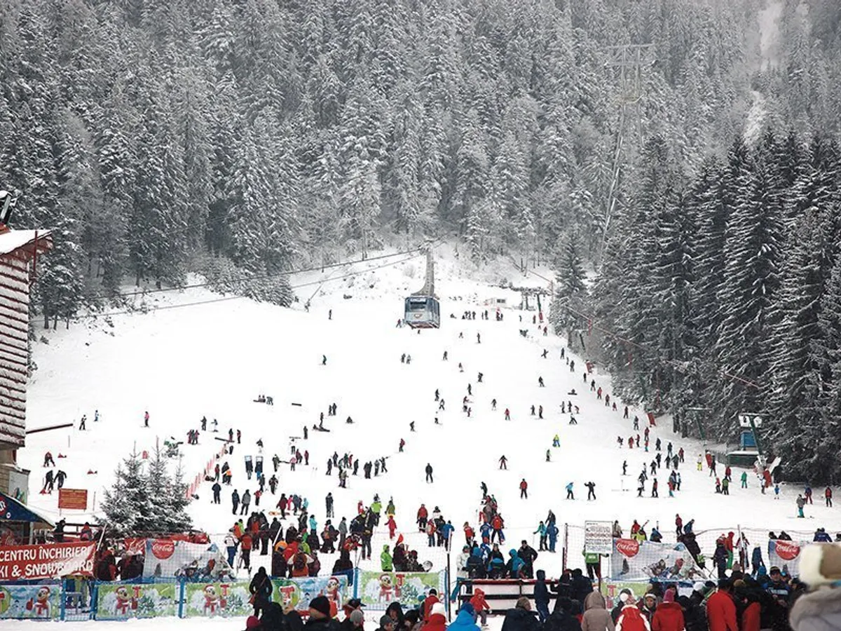 Noi pârtii de schi, pretext pentru tăierea pădurilor