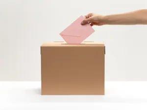 În ce județe au fost înregistrate primele incidente la secțiile de vot. Un bărbat a rupt buletinul Foto: Freepik (fotografie cu caracter ilustrativ)