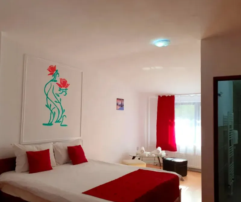 Cameră Pensiunea Izișoara Resort  - Foto: pensiuneaizisoararesort.com