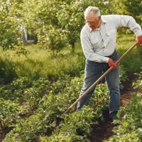 Care ani munciți nu se pun la pensie? Pensionarii pierd 400 de lei după recalculare. Anunț oficial - Foto: Freepik