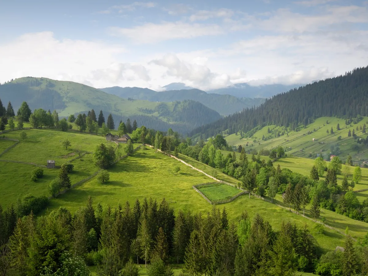Bucovina - Foto: Profimedia Images (Imagine cu rol ilustrativ)