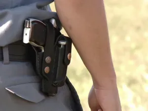 Un polițist a fost oprit cu 12 focuri de armă după ce a încercat să fure 900 de baxuri cu țigări - Foto: Arhivă