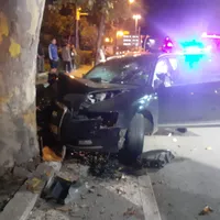 Un Audi s-a înfipt într-un copac de pe o stradă din Constanța. / Foto: dobrogea.tv