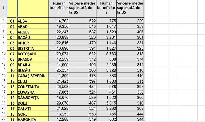 Pensii sociale - Foto: Casa de Pensii