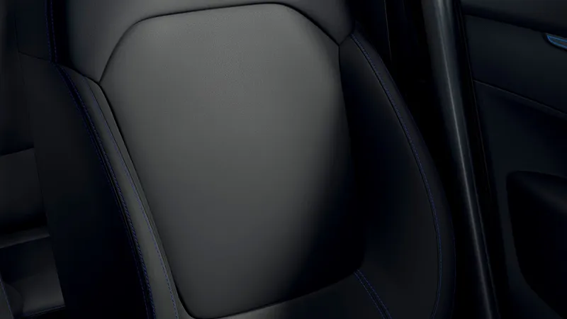 Scaun Dacia Spring