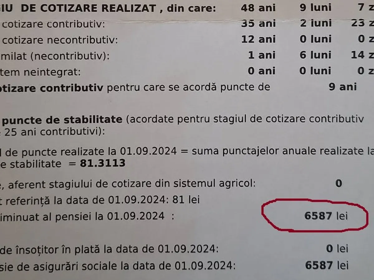 Decizie pensie - Foto: CNPP