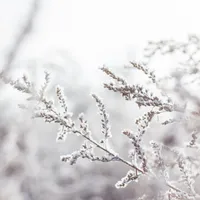 Vremea se schimbă în România. Temperaturile scad brusc și vin ninsorile Foto: Pexels (fotografie cu caracter ilsutrativ)