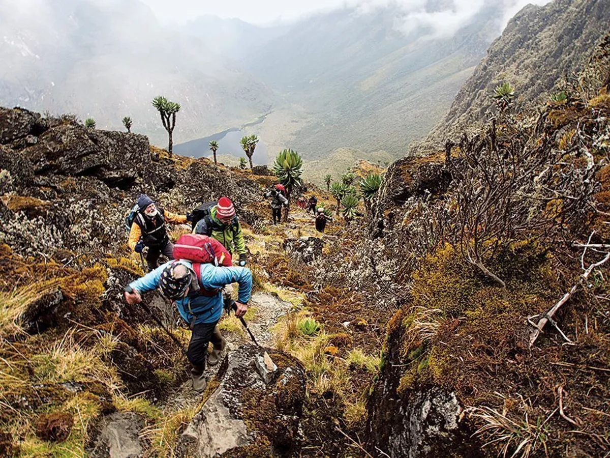 Munții Rwenzori, Uganda