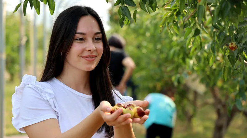 Fructul minune adus din China care crește la Dăbuleni. Te scapă de insomnie și reglează digestia - Foto: Profimedia Images