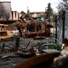 Catastrofă _ foto: Magnific (rol ilustrativ)