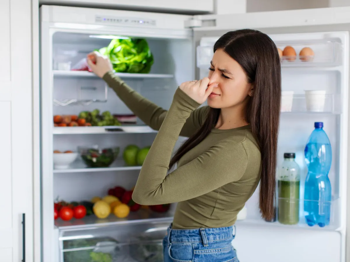 Ce să pui în frigider pentru a scăpa de mirosul urât. Ajută fructele și legumele să reziste mai mult