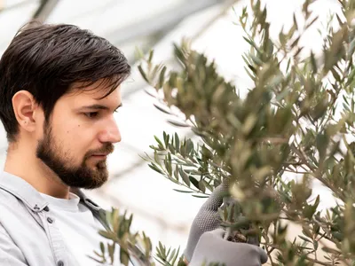 Planta pe care trebuie să o ai în casă, pe terasă sau în grădină pentru prosperitate și noroc - Foto: Freepik (Imagine cu rol ilustrativ)