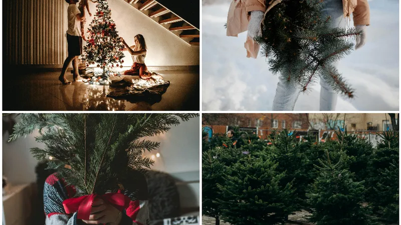 Ce să faci cu bradul de Crăciun după sărbători: 7 idei practice pentru reutilizarea bradului natural: FOTO - Pexels(imagine cu rol ilustrativ)