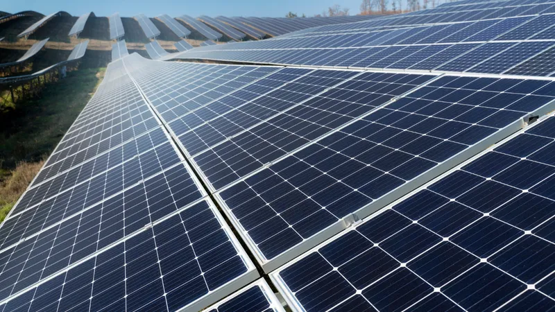 15.000 familii primesc bani de la UE pentru panouri fotovoltaice. Care sunt condițiile? Foto: Freepik (fotografie cu caractter ilustrativ)
