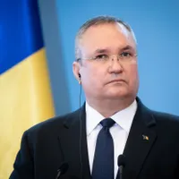Nicolae Ciucă - Foto: Profimedia