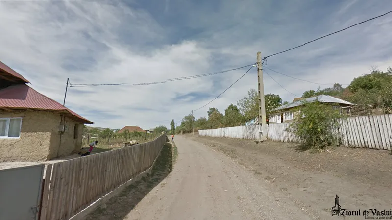 Comuna Puiești - Foto:ziaruldevaslui