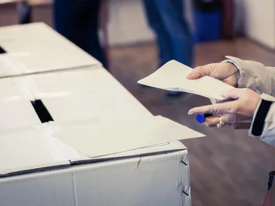 Alegeri electorale - Foto: Profimedia Images (rol ilustrativ)