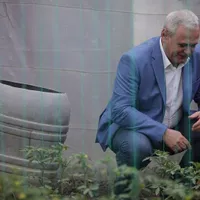 Dragnea susținea că roșiile din import sunt pline de chimicale Foto: Inquam