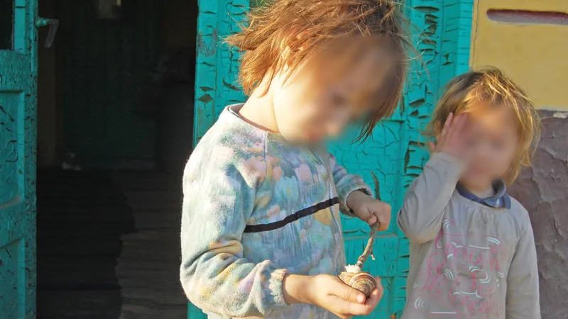 Cochilii de melci si soareci pe post de jucarii. Foto: Newsweek Romania