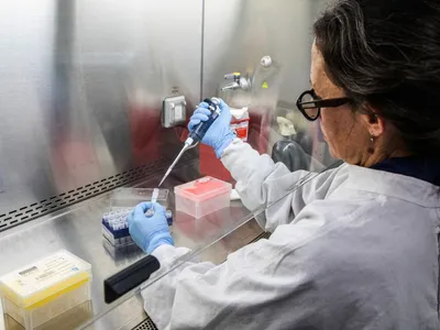 Analiză de hantavirus - Foto: Profimedia Images