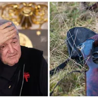 Un călugăr de pe Athos a împușcat un român. L-ar fi „confundat” cu o pisică. L-a sunat pe Becali - Foto: Colaj/ Profimedia Images/ Imagine cu caracter ilustrativ