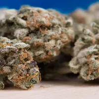 Directorul unei firme de imobiliare, prins cu 14 grame de cannabis - Foto: pix4free