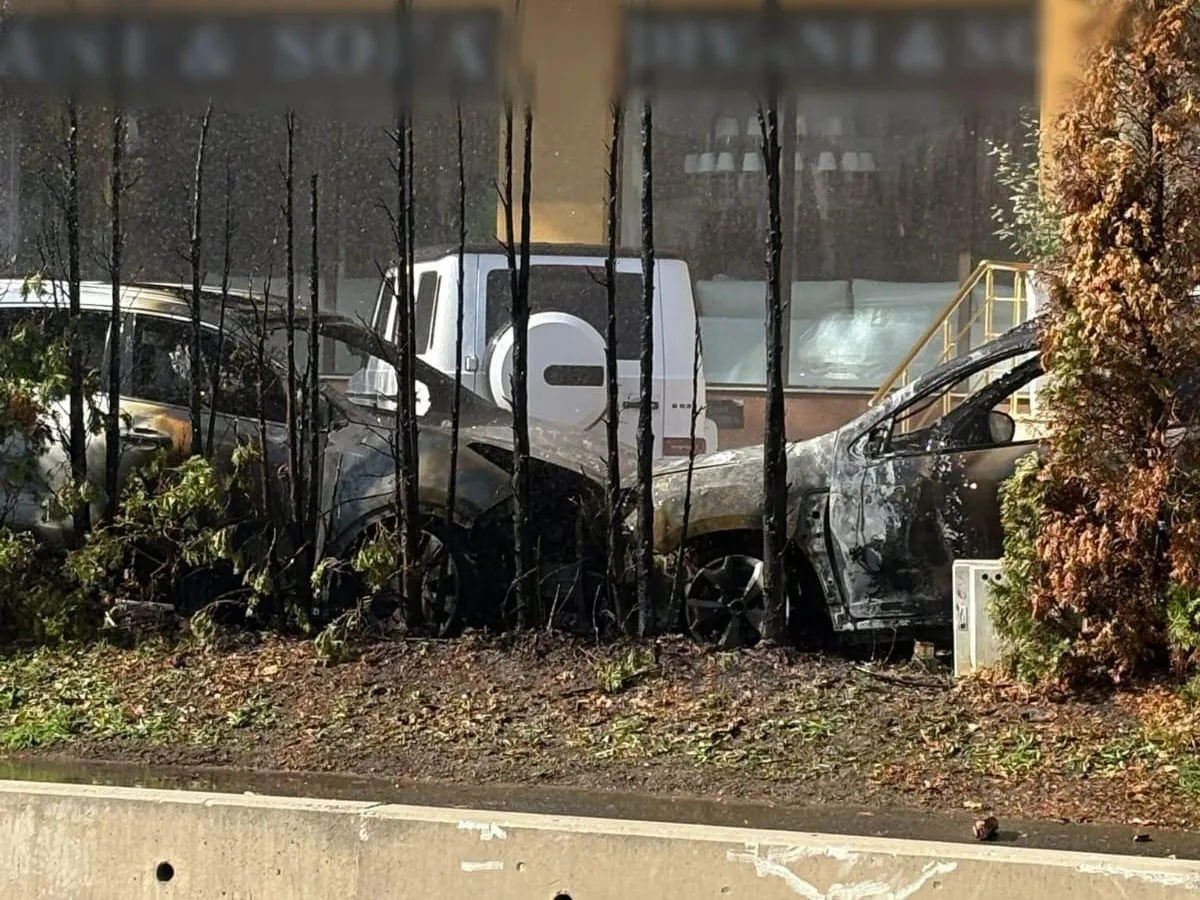 Mașini arse în parcare - Foto: ISU