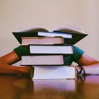 Birocraţia împiedică punerea în aplicare a Legilor Educaţiei - Foto: Pexels/Pixabay/CC0