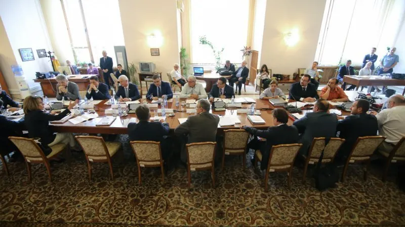 Speranța Cliseru are multe de spus parlamentarilor Foto: Inquam Photos/George Calin
