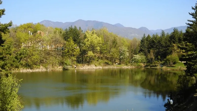 Descoperirea făcută de un român în timp ce se plimba prin pădure. A sunat imediat 112 - Foto: Arhiva