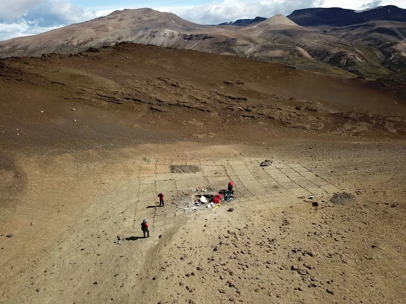 Fosile ale unei noi specii de mamifer, care a trăit acum 72 de milioane de ani, descoperite în Chile. / Foto: inach.cl