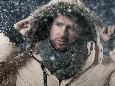 Ger Foto: Freepik (imagine cu rol ilustrativ)