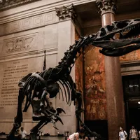 Rămășițele unui dinozaur uriaș, descris ca dragon, descoperite în Australia/FOTO: Unsplash