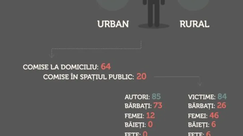 SURSA: Rețeaua pentru prevenirea și combaterea violenței împotriva femeilor