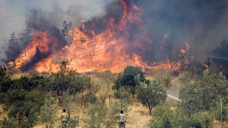 Grecia mistuită de incendiile de vegetație. Care este insula cu cele mai grave probleme? - Foto: Arhiva / imagine cu rol ilustrativ