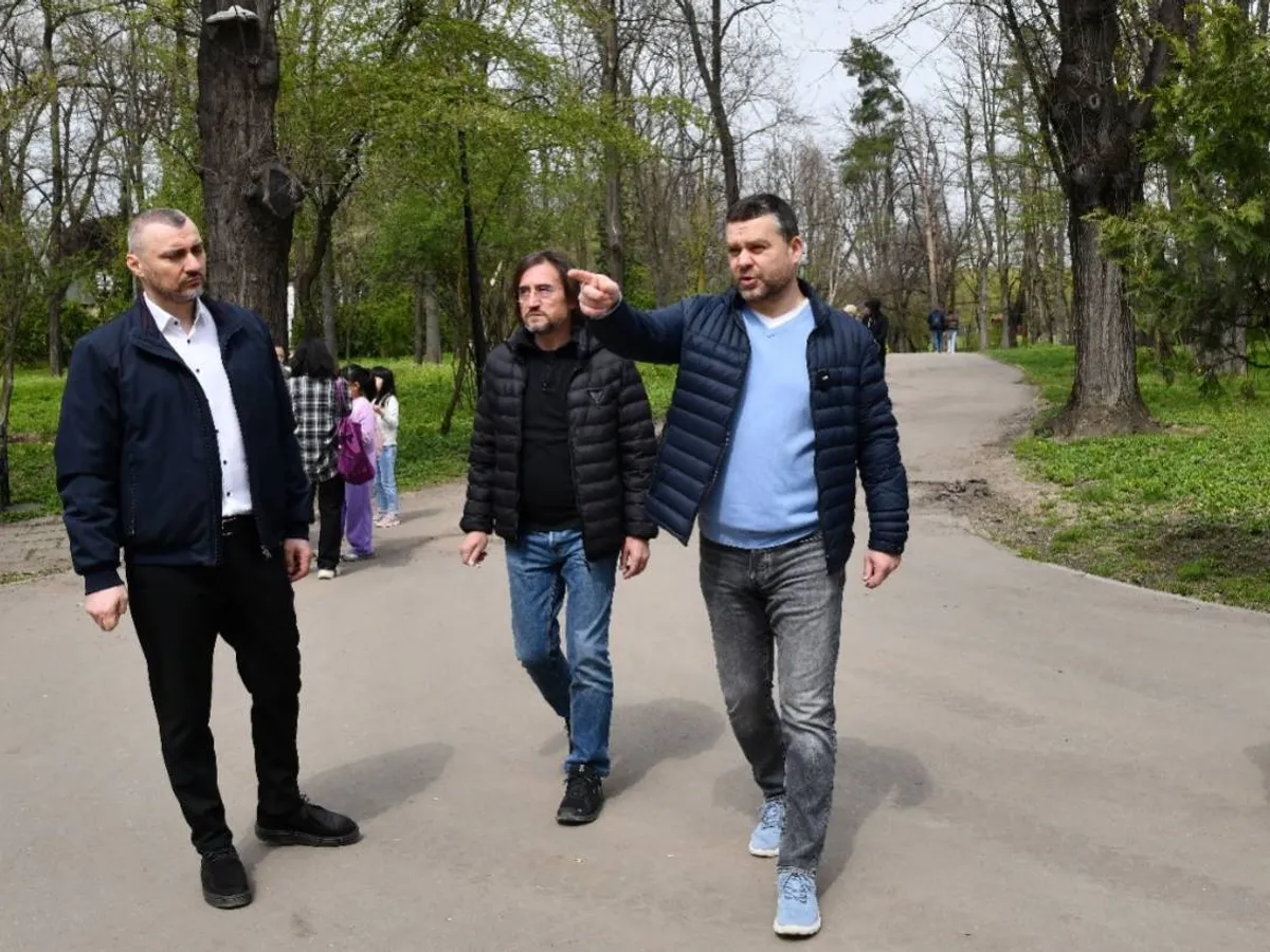 Mesajele anticezariană urmează să fie scoase de pe panourile publicitare. PMB: „Trei firme s-au conformat”