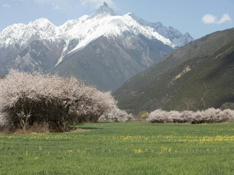 Vremea se răcește în mare parte din regiuni. Temperaturile maxime vor fi diferite în funcție de zonă Foto: Pexels (fotografie cu caracter ilustrativ)