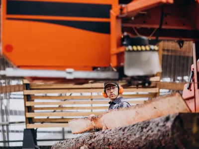 Lemn Foto: Freepik (imagine cu rol ilustrativ)